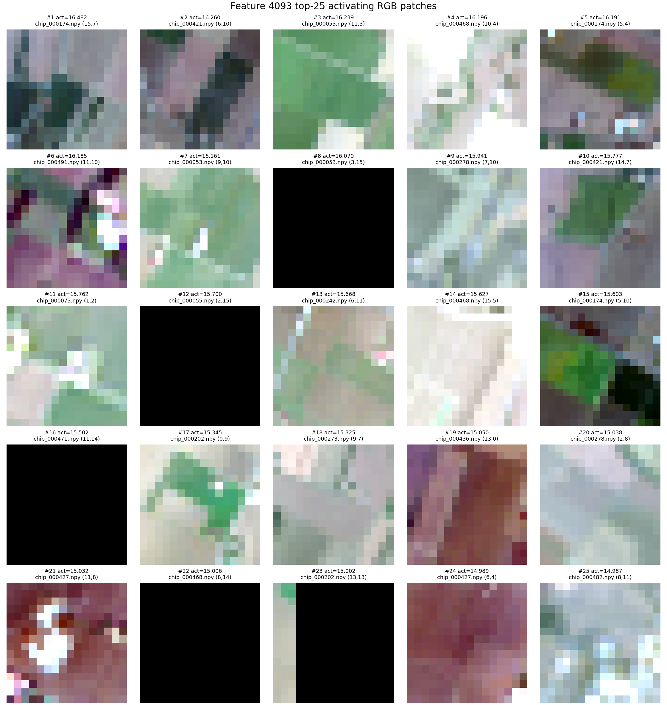 Contact sheet of top patches activating SAE feature 4093